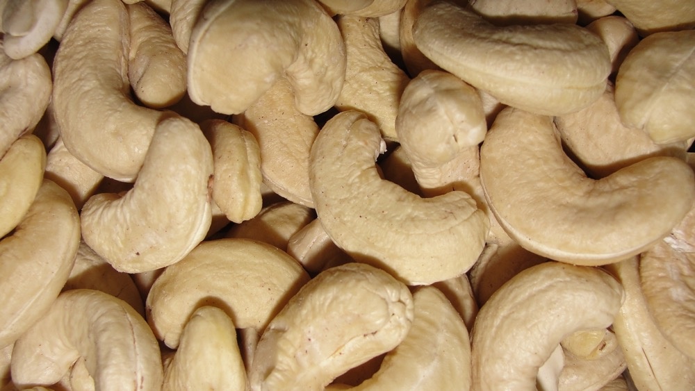 cashew2