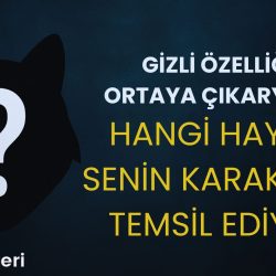 kisilik-testi