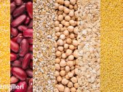 Bakliyat Türlüsü: Renkli ve Sağlıklı Bir Lezzet Festivali