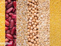 Bakliyat Türlüsü: Renkli ve Sağlıklı Bir Lezzet Festivali