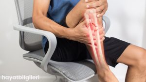 Doktorlar, En Güçlü Kemikler İçin 1 Numaralı Egzersizin Ne Olduğunu Söylüyor