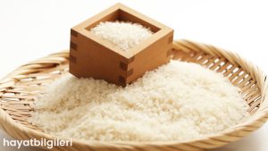 Pirinç İçindeki Siyah Böcekler Nedir? Pirinç Bitine Karşı Etkili Çözümler