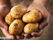 Yoğurtlu Patates: Sağlıklı ve Lezzetli Bir Alternatif