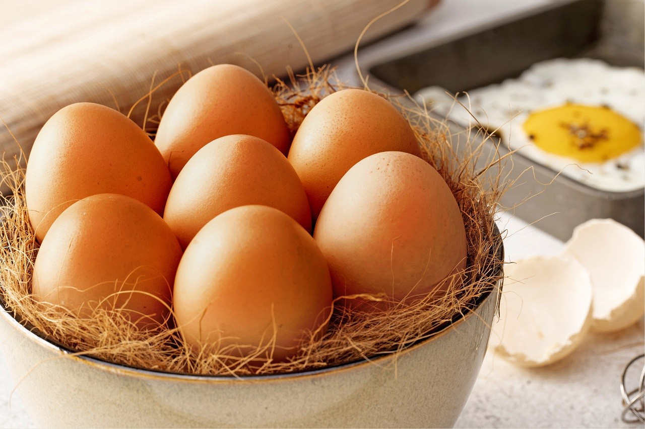 Yumurta çatlaması kaç gün devam eder?