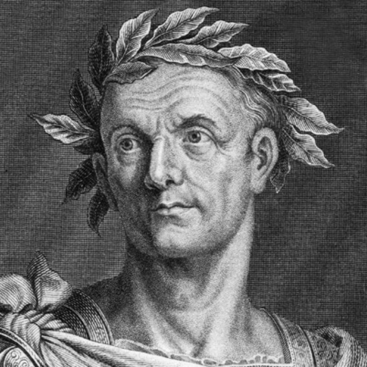 Evde Defne Yaprağı Yakmanın Faydaları Julius-caesar