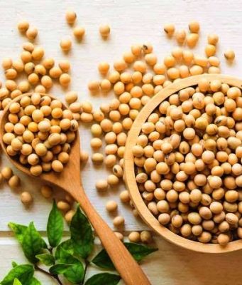 Soya Fasülyesi Hakkında Her Şey!