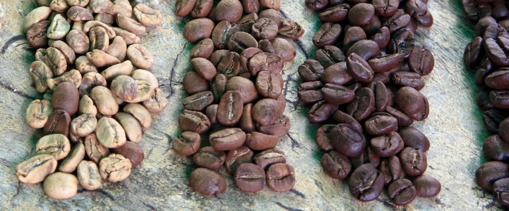 Kahve Nedir? Nereden Gelir? Hayat Bilgileri